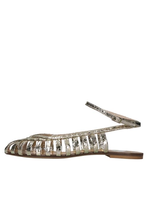  ADELIA | 513 WHIPSPLATINO